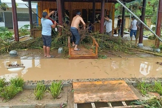 Hàng trăm hecta hoa màu tại Bình Thuận chìm trong nước, thiệt hại hơn 25 tỷ đồng