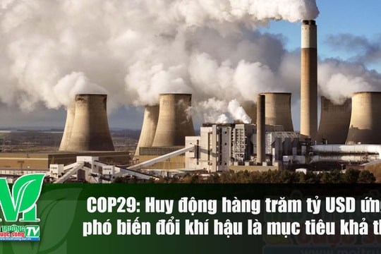 [VIDEO] COP29: Huy động 'hàng trăm tỷ USD' ứng phó biến đổi khí hậu là mục tiêu khả thi