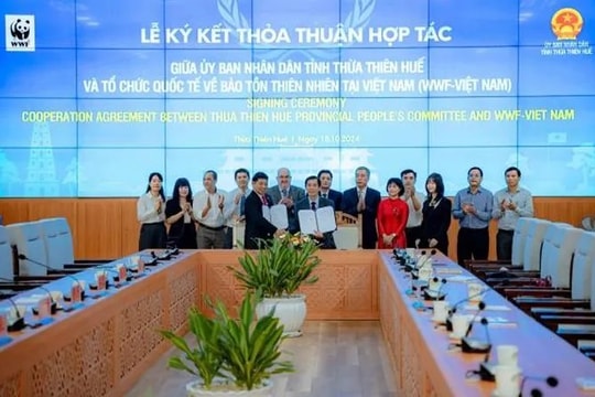 WWF đẩy mạnh công tác bảo tồn và nâng cao sinh kế rừng ở Huế