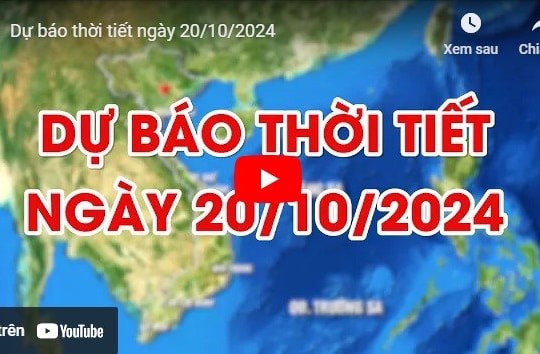 Dự báo thời tiết ngày 20/10/2024: Nhiều khu vực mưa rào và dông