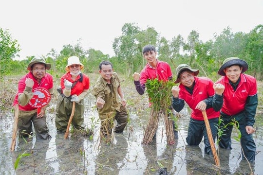 Phủ 15.000 cây tràm nội cho rừng U Minh Thượng