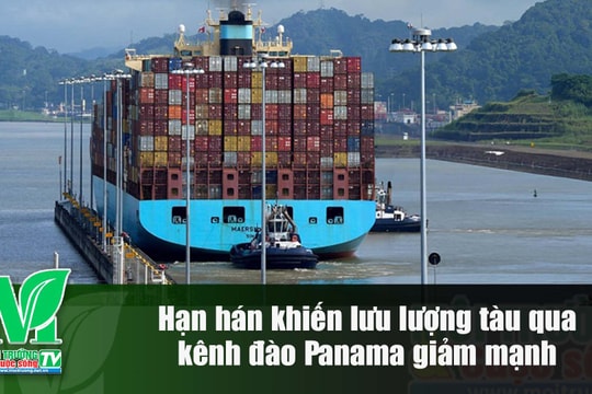 [VIDEO] Hạn hán khiến lưu lượng tàu qua kênh đào Panama giảm mạnh