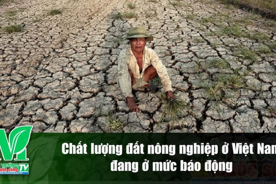 [VIDEO] Chất lượng đất nông nghiệp ở Việt Nam đang ở mức báo động