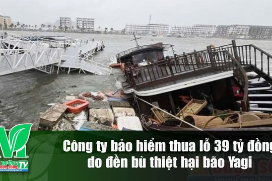 [VIDEO] Công ty bảo hiểm thua lỗ 39 tỷ đồng do phải đền bù thiệt hại bão Yagi