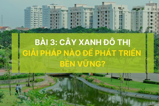 Cây xanh đô thị tại Việt Nam (Bài 3): Giải pháp nào để phát triển bền vững?