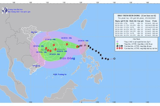 TP HCM triển khai phương án ứng phó bão Trà Mi