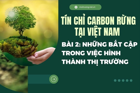 Tín chỉ carbon rừng tại Việt Nam Bài 2: Những bất cập trong việc hình thành thị trường