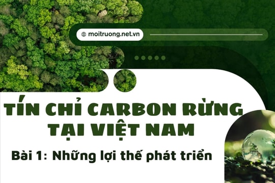 Tín chỉ carbon rừng tại Việt Nam Bài 1: Những lợi thế phát triển