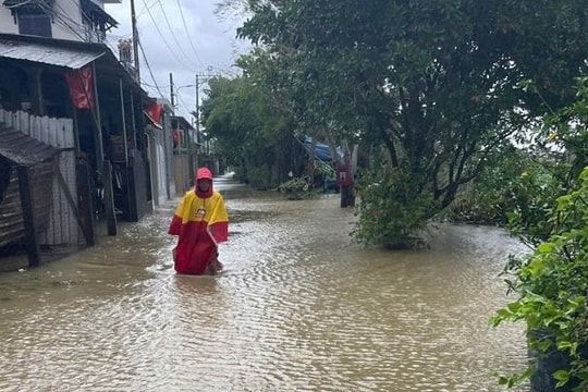 Nhiều hộ dân ở Thừa Thiên Huế kẹt trong rừng do bão Trà Mi đổ bộ