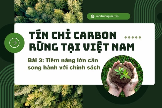 Tín chỉ carbon rừng tại Việt Nam Bài 3: Tiềm năng lớn nhưng cần chính sách song hành