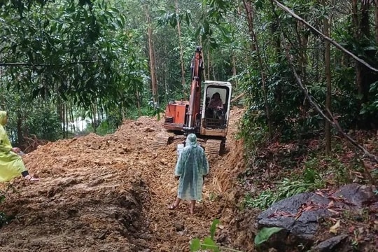 Quảng Nam: Sơ tán hơn 160 người sau khi phát hiện một vết nứt 30m ở đỉnh đồi