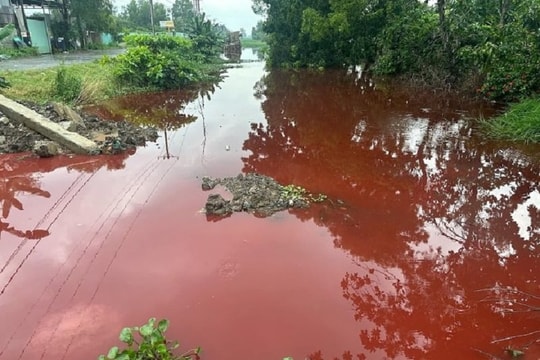 TP.HCM: Nước kênh trong khu dân cư chuyển màu đỏ, bốc mùi hóa chất nồng nặc