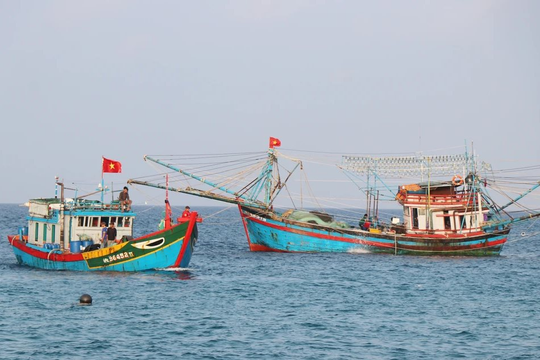 Quảng Ngãi ban hành quy định khu vực cấm khai thác thủy sản có thời hạn ở vùng biển ven bờ