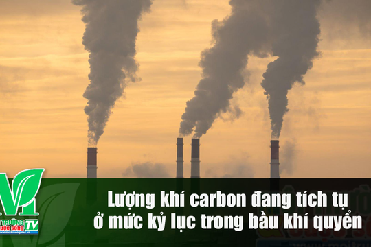 [VIDEO] Lượng khí carbon đang tích tụ ở mức kỷ lục trong bầu khí quyển