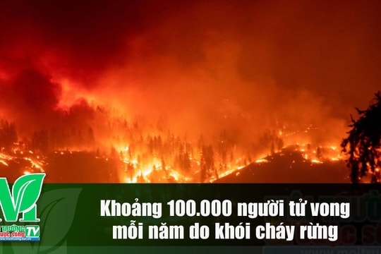 [VIDEO] Khoảng 100.000 người tử vong mỗi năm do khói cháy rừng