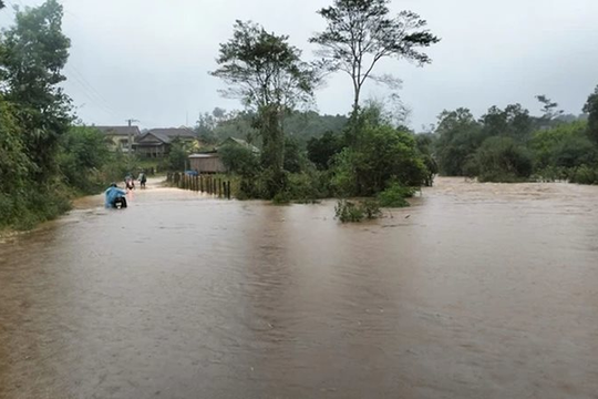 Bình Định: Sạt lở, mưa lũ gây nhiều thiệt hại