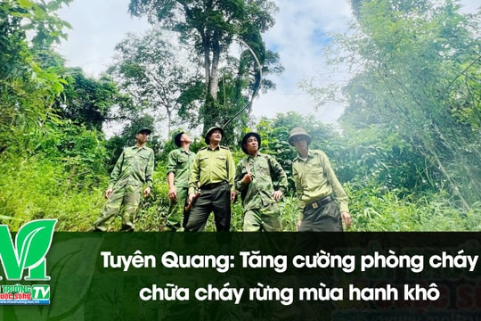 [VIDEO] Tuyên Quang: Tăng cường phòng cháy, chữa cháy rừng mùa hanh khô