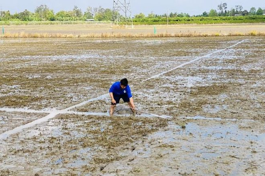 Hải Dương: Một số tuyến sông ở Tứ Kỳ, Thanh Hà bị xâm nhập mặn sớm