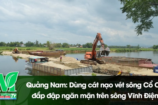 [VIDEO] Quảng Nam: Dùng cát nạo vét sông Cổ Cò đắp đập ngăn mặn trên sông Vĩnh Điện