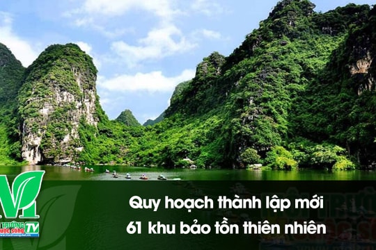 [VIDEO] Quy hoạch thành lập mới 61 khu bảo tồn thiên nhiên