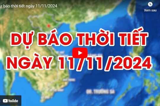 Dự báo thời tiết ngày 11/11/2024: Ngày nắng, một số khu vực có mưa vào chiều tối và đêm