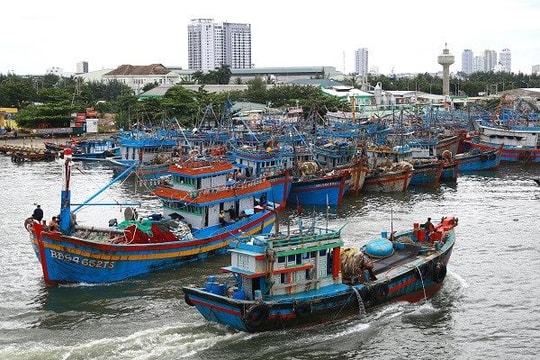 Đà Nẵng ban hành Công điện ứng phó với cơn bão số 8