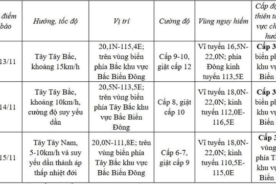 Tin bão mới nhất: Tâm bão số 8 có sức gió mạnh nhất 102 km/h, giật cấp 12