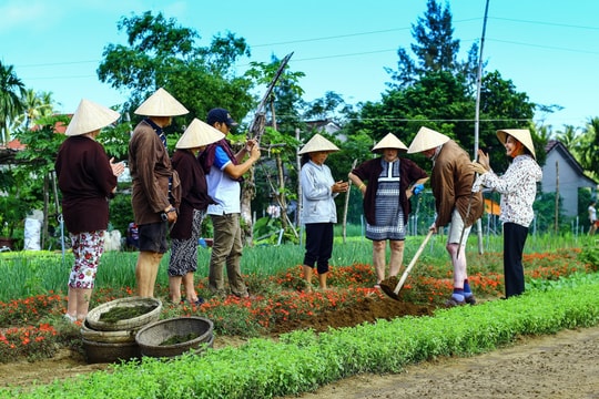 Công nhận làng rau Trà Quế là "Làng Du lịch tốt nhất" năm 2024