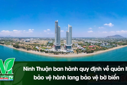 [VIDEO] Ninh Thuận ban hành quy định về quản lý, bảo vệ hành lang bảo vệ bờ biển