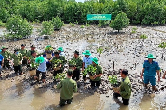 Cà Mau: 90% số hộ dân ở khu vực thường xảy ra thiên tai có nhà ở an toàn vào năm 2030