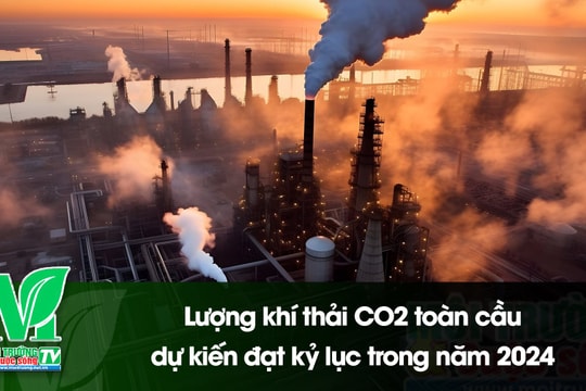 [VIDEO] Lượng khí thải CO2 toàn cầu dự kiến đạt kỷ lục trong năm 2024