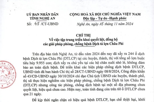 Nghệ An: Tăng cường giải pháp phòng chống bệnh dịch tả lợn châu Phi