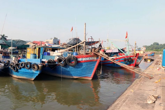 Công điện chỉ đạo ứng phó bão Man-yi