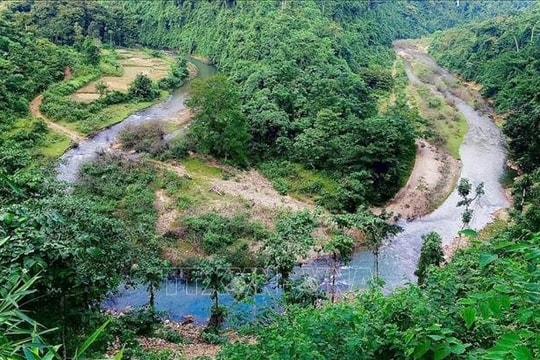 Nhiều loài động vật quý hiếm được phát hiện trong Khu bảo tồn thiên nhiên Pù Huống (Nghệ An)