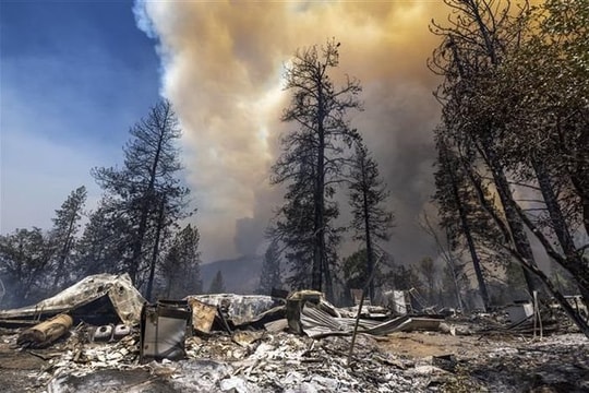 COP 29: Những quốc gia nào dẫn đầu về chống biến đổi khí hậu?