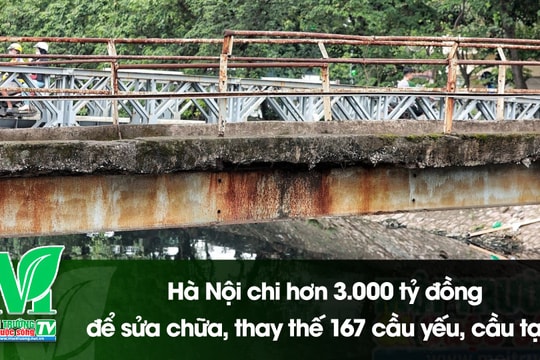 [VIDEO] Hà Nội chi hơn 3.000 tỷ đồng để sửa chữa, thay thế 167 cầu yếu, cầu tạm