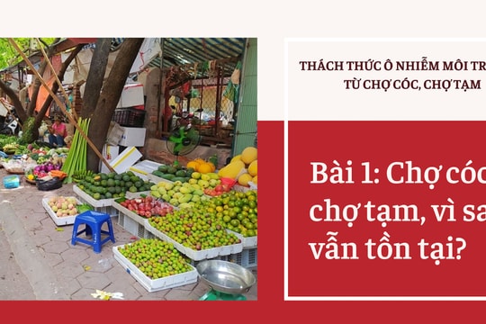 Thách thức ô nhiễm môi trường từ chợ cóc, chợ tạm - Bài 1: Chợ cóc, chợ tạm, vì sao vẫn tồn tại?