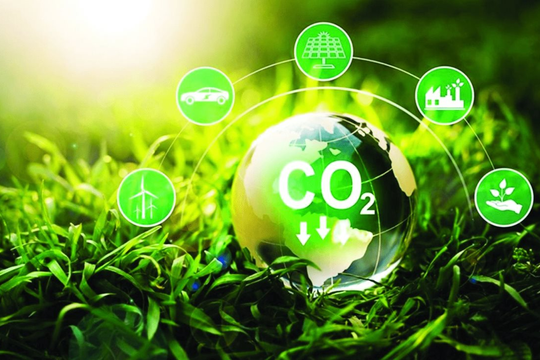 COP29 đạt thỏa thuận về quy tắc giao dịch tín chỉ carbon toàn cầu