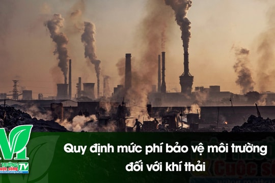 [VIDEO] Quy định mức phí bảo vệ môi trường đối với khí thải