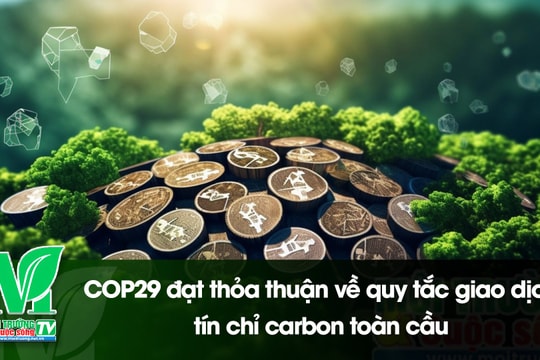 [VIDEO] COP29 đạt thỏa thuận về quy tắc giao dịch tín chỉ carbon toàn cầu