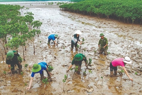 Thành phố Hồ Chí Minh cấp bách ứng phó với biến đổi khí hậu