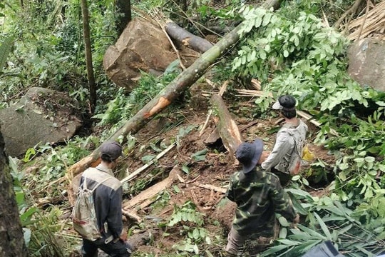 Quảng Nam chủ động ứng phó với động đất, thiên tai trong thời gian tới