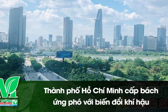 [VIDEO] Thành phố Hồ Chí Minh cấp bách ứng phó với biến đổi khí hậu