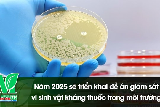 [VIDEO] Năm 2025 sẽ triển khai đề án giám sát vi sinh vật kháng thuốc trong môi trường