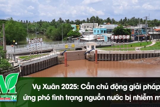 [VIDEO] Vụ Xuân 2025: Cần chủ động giải pháp ứng phó tình trạng nguồn nước bị nhiễm mặn