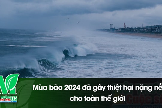 [VIDEO] Mùa bão 2024 đã gây thiệt hại nặng nề cho toàn thế giới