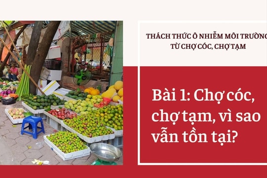 Thách thức ô nhiễm môi trường từ chợ cóc, chợ tạm - Bài 1: Chợ cóc, chợ tạm, vì sao vẫn tồn tại?