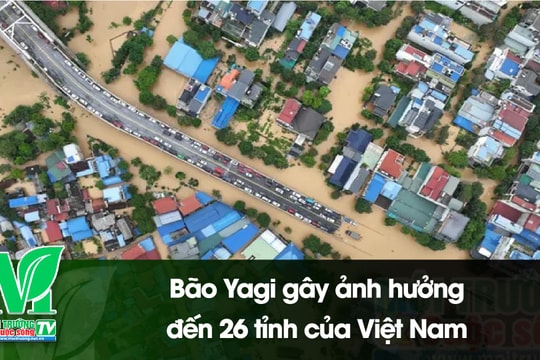 [VIDEO] Bão Yagi gây ảnh hưởng đến 26 tỉnh của Việt Nam