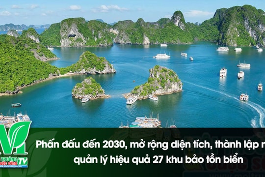 [VIDEO] Phấn đấu đến 2030, mở rộng diện tích, thành lập mới, quản lý hiệu quả 27 khu bảo tồn biển