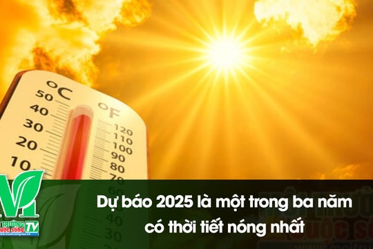 [VIDEO] Dự báo 2025 là một trong ba năm có thời tiết nóng nhất